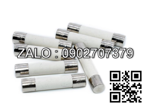 Cau chi ong su 4A/250V phi 5*20mm, RS54