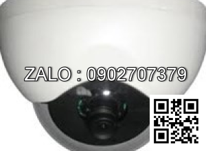 Camera Coretek STX-202N/P-37P