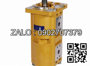 Bơm thủy lực CBQL-E563/F532-CFH CBQL-E563/F532-CFH