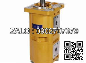 Bơm thủy lực CBQL-E550/F525-CFH CBQL-E550/F525-CFH