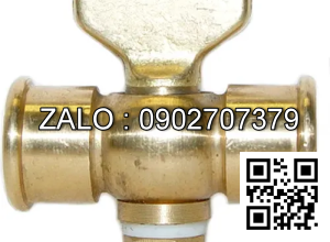 Van khóa thau răng trong RT tay vặn Inox màu trắng 200