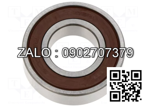 Vòng bi 6003