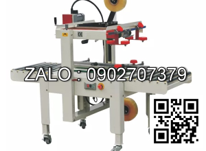 Máy dán thùng carton FXJ6060
