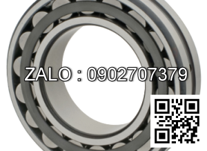 Vòng bi P319 NSK
