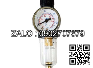 Bộ lọc khí nén - Lọc đơn P3NEA9PGSMBNN Parker