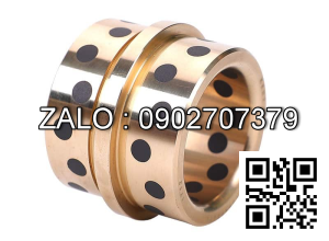 Bạc lót tự bôi trơn SHTZ 55x65x100