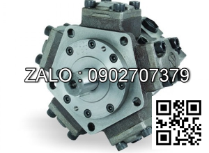 Motor piston JMDG1-100