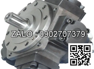 Motor piston JMDG8-800