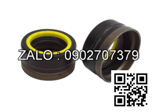 Phốt GNB1 25x42.5x8.5