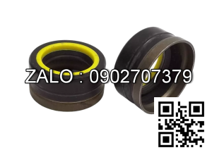 Phốt GNB1 30x48x8.5