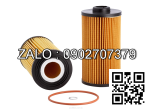 Lọc HINO 15607-1310