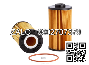 Lọc HINO 15607-1331