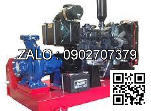 Bơm Windy Diesel Iveco FPT