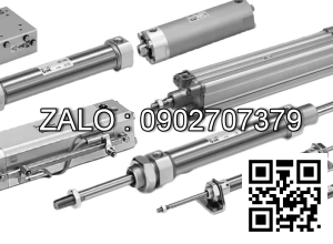 Xilanh khí nén TPC NLPD25-10M-W9HNL