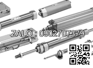 Xilanh khí nén TPC NDSKG25-20RP-W8H