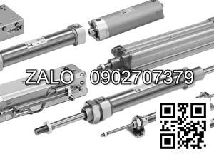 Xilanh khí nén TPC NGQM12-100-W8VL