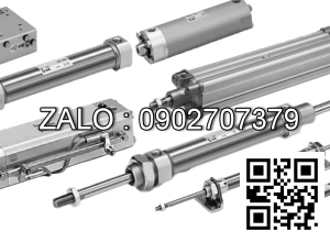 Xilanh khí nén TPC NGQM20-125-W8HL