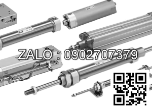 Xilanh khí nén TPC NGQL12-100H-W8VS