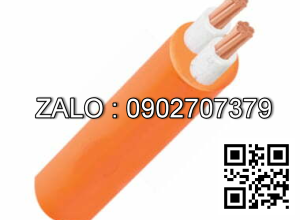 Cáp điện chậm cháy Cadivi CXV/FRT-2×6 (2×7/1.04) – 0.6/1kV
