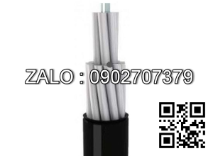 Cáp điện Cadivi AV-300 – 0.61kV