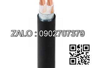 Cáp điện Cadivi CXV/DSTA-2×16 – 0.6/1kV