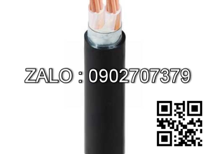 Cáp điện Cadivi CXV/DSTA-2×6 (2×7/1.04) – 0.6/1kV