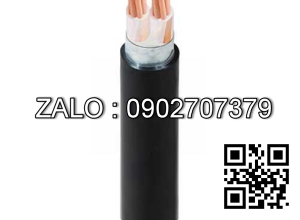 Cáp điện Cadivi CXV-2×35 – 0.6/1kV