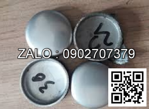 Đồng tiền nước xe nâng MITSUBISHI 4G63/4G64