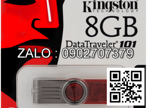 USB 8G Kington Tem FPT