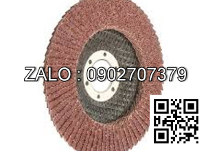 Nhám xếp Kingstar - Hải dương - Hồ phát