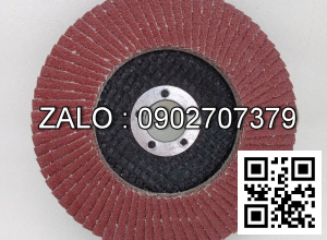 Nhám xếp Hải Dương A120 D100