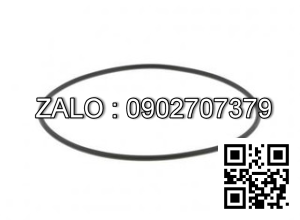 121423 CUMMINS ISX CAMSHAFT O-RING