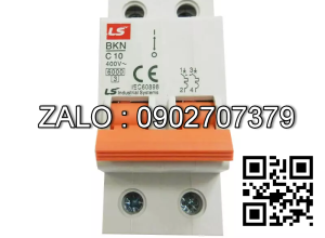 BKN (MCB; 2P; 10A; AC220V)