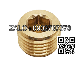 Ốc Nhét Nước Lục Giác Thép Đen Ren PT 3/4