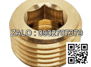 Ốc Nhét Nước Thép Đen 5.8 DIN906 M18x1.5