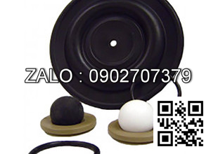 Bi bơm màng FT10P-PP-2TPC-F1