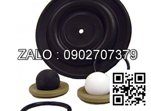 Bi bơm màng FT05-P-PP-2TPT-B1