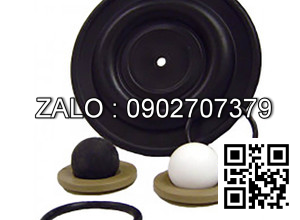 Bi bơm màng FT05-P-PP-RRPR-B1