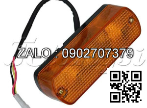 Xi nhan trước 24V