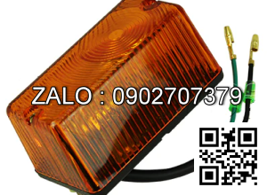 Xi nhan trước 56V