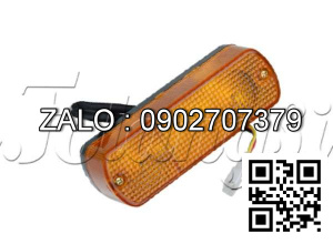 Xi nhan trước 48V