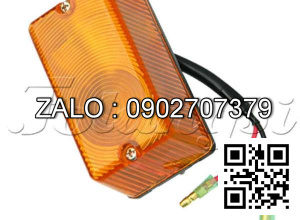 Xi nhan trước NISSAN 12V23W