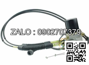 Motor ga máy xây dựng CAT 312