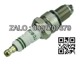 bugi xe nâng WanFeng WF491GP