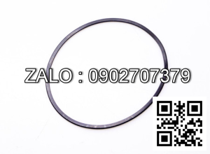 Ring Seal 16312-52171