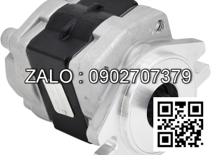 Hydraulic Pump 134A7-10301 FD30T6N