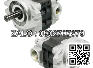 Hydraulic Pump 181N7-10001 FB20-7