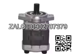 Hydraulic Pump SGP1-36FRH9-L317T
