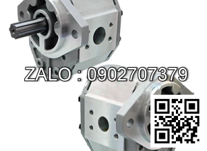 Hydraulic Pump CBQ-F550-AFHL-TX