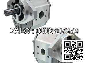 Hydraulic Pump CBQ-F550-AFHL